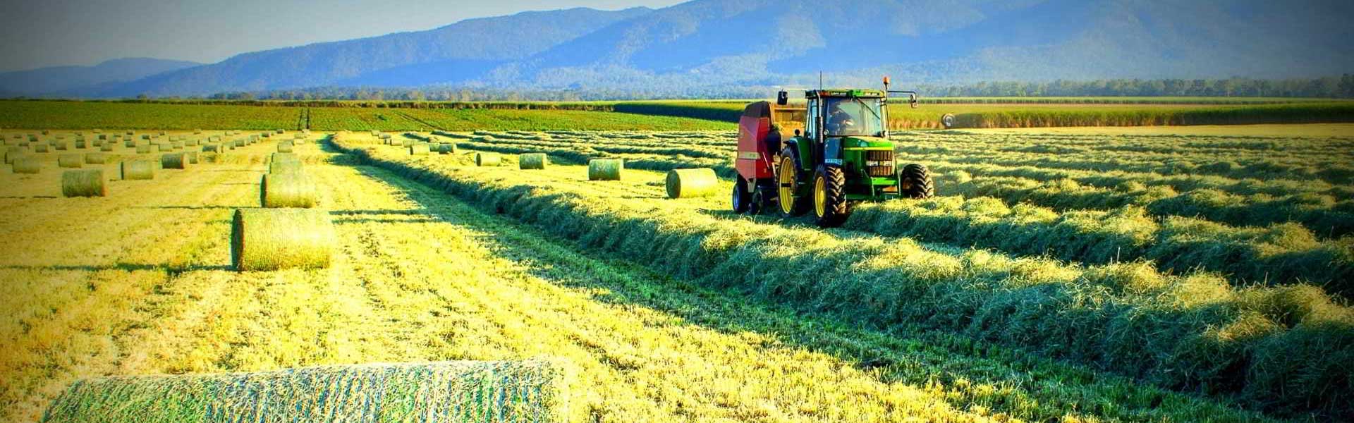 This is a the main heading